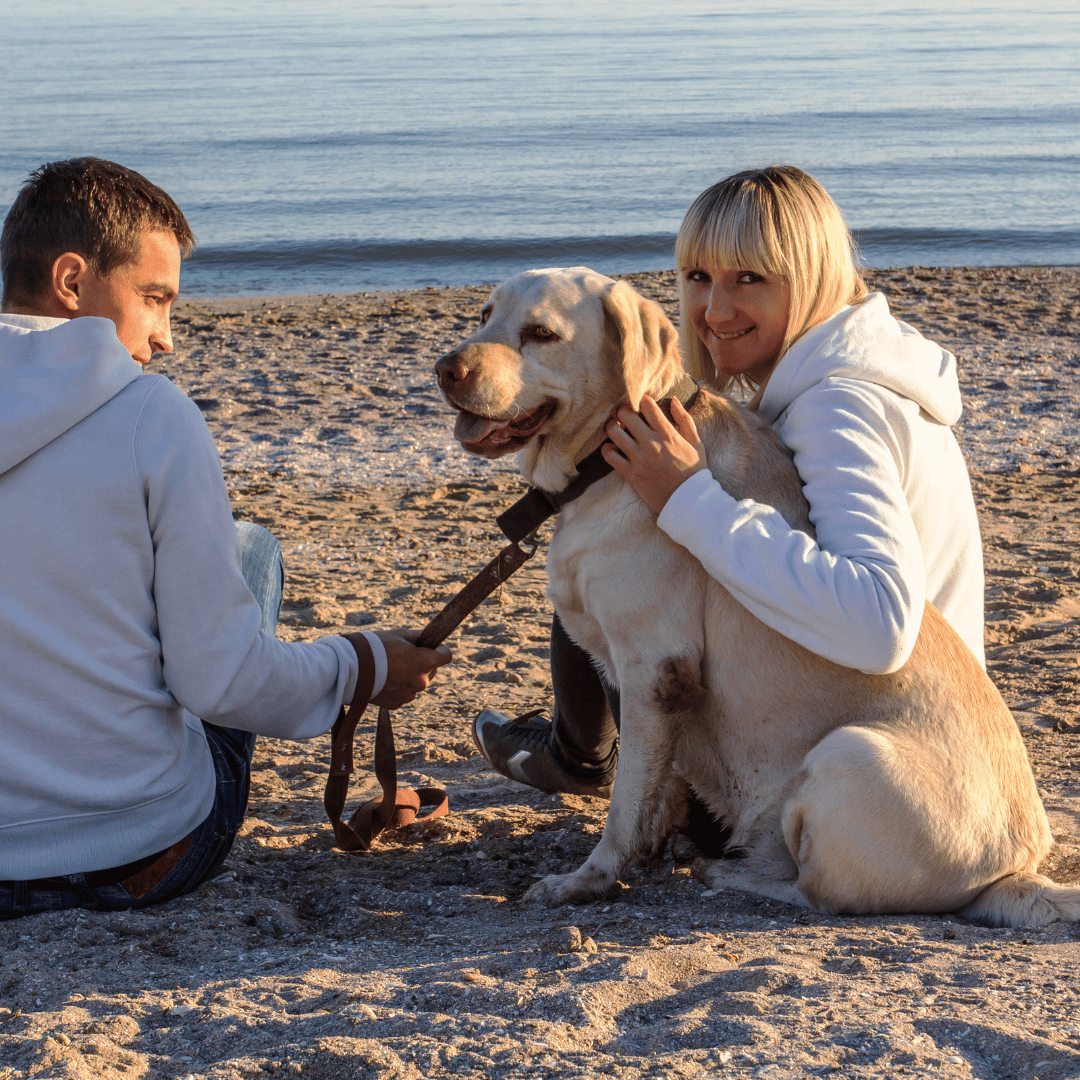 couple on a beach with their dog